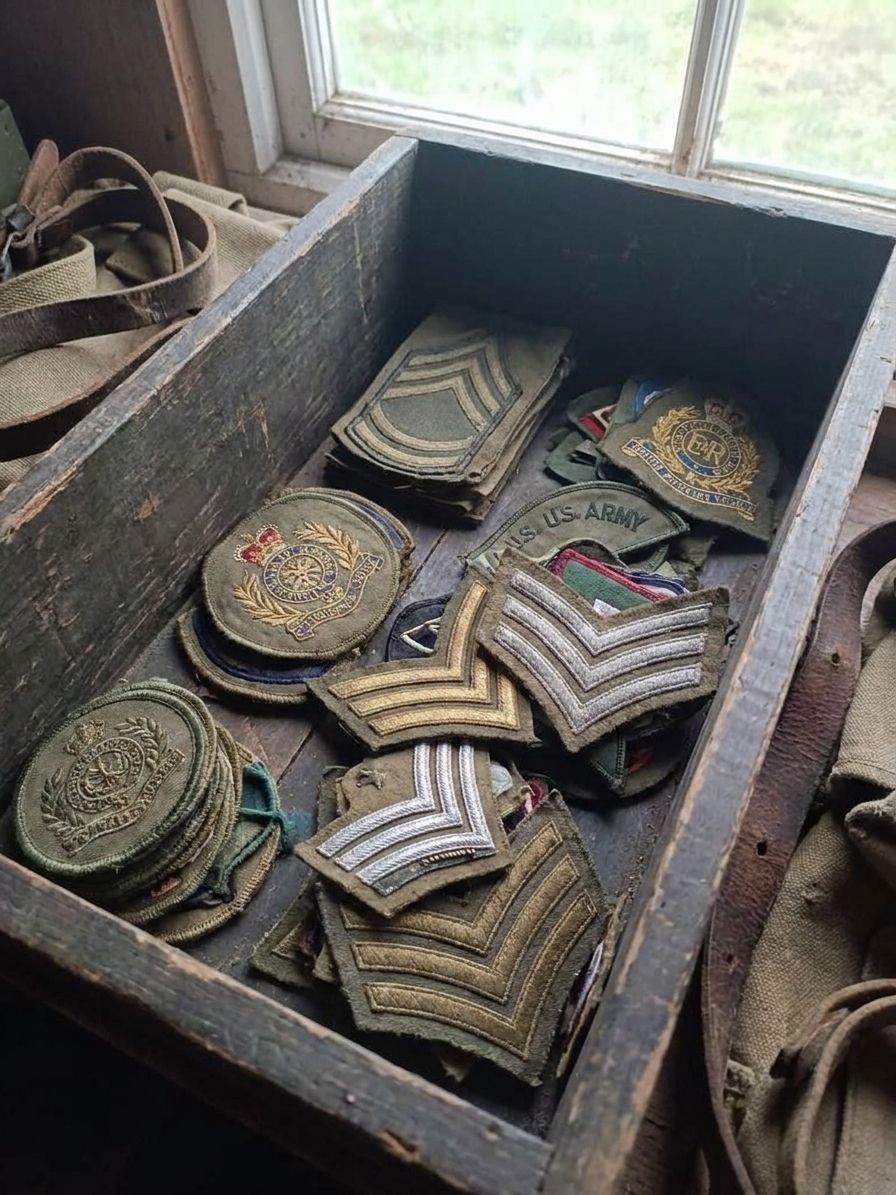 Military insignia and badges: a beginner's guide to collecting