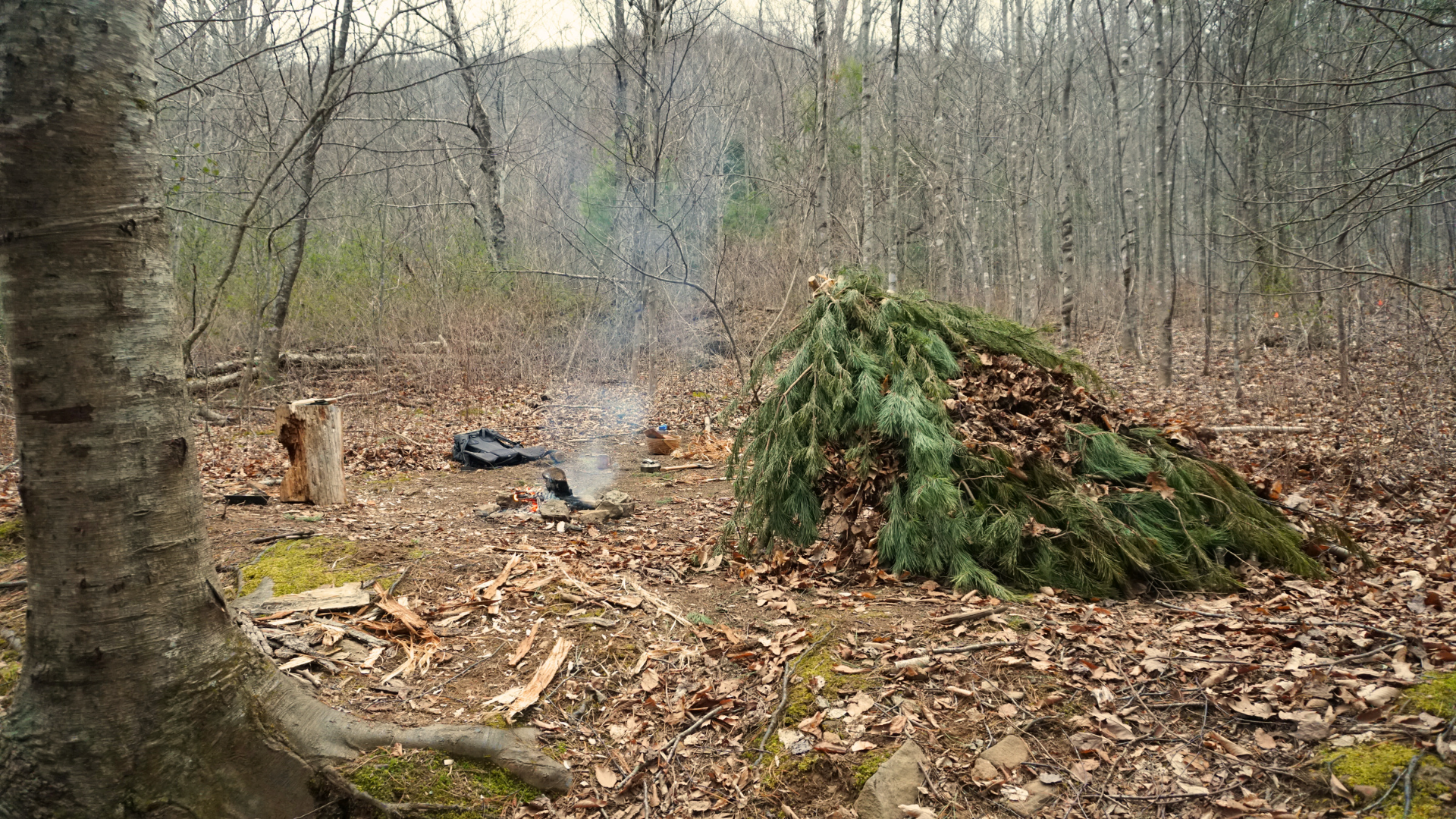 Military Surplus for Preppers: Essential Items for Emergency Preparedness