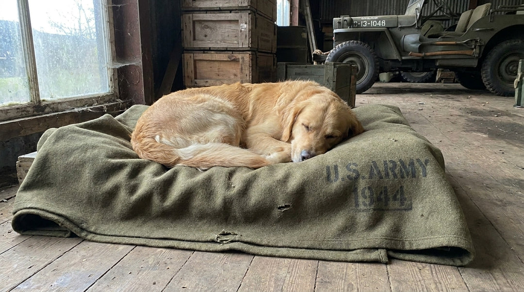 Wool military blankets for dog beds and crates
